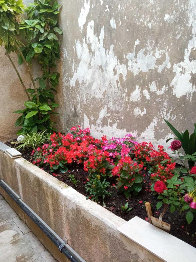 Rooms Zela 1 Korcula Town Exterior photo